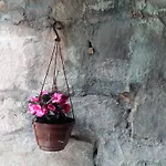 Apartman Bepina *